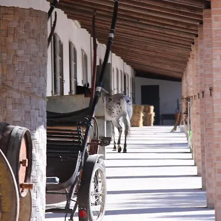 Bed & Breakfast Lo Sperone *