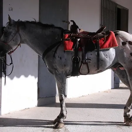 Bed & Breakfast Lo Sperone *
